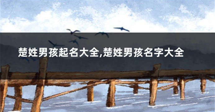 楚姓男孩起名大全,楚姓男孩名字大全