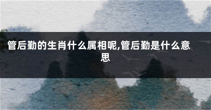 管后勤的生肖什么属相呢,管后勤是什么意思