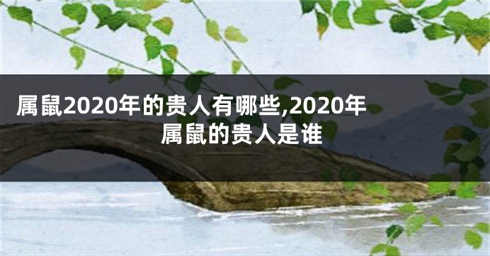 属鼠2020年的贵人有哪些,2020年属鼠的贵人是谁