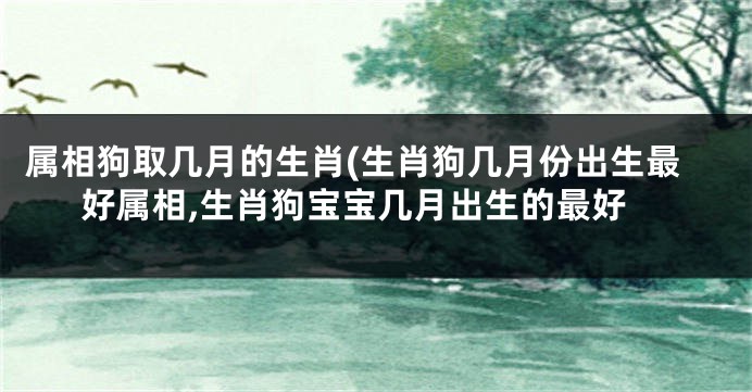 属相狗取几月的生肖(生肖狗几月份出生最好属相,生肖狗宝宝几月出生的最好