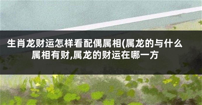 生肖龙财运怎样看配偶属相(属龙的与什么属相有财,属龙的财运在哪一方
