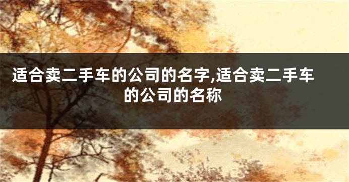 适合卖二手车的公司的名字,适合卖二手车的公司的名称