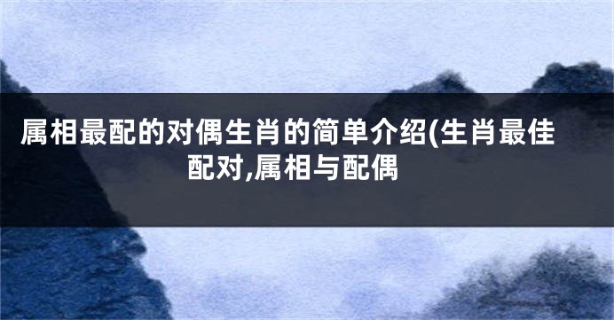 属相最配的对偶生肖的简单介绍(生肖最佳配对,属相与配偶