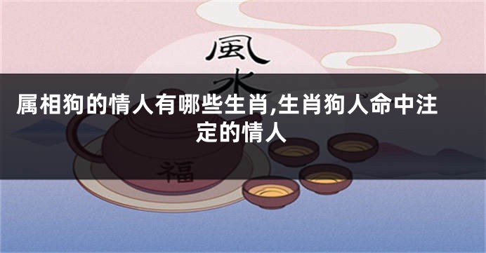 属相狗的情人有哪些生肖,生肖狗人命中注定的情人