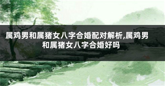 属鸡男和属猪女八字合婚配对解析,属鸡男和属猪女八字合婚好吗