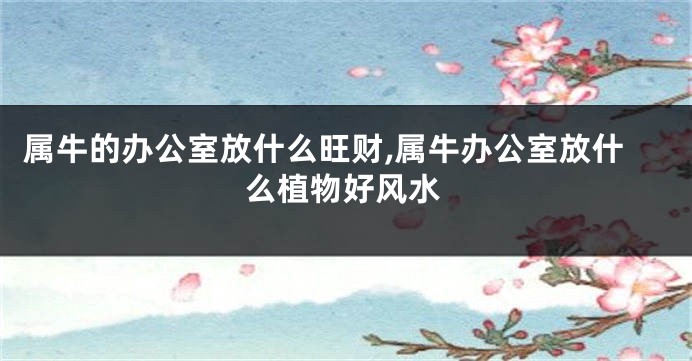 属牛的办公室放什么旺财,属牛办公室放什么植物好风水