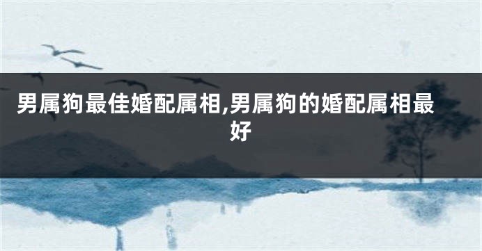 男属狗最佳婚配属相,男属狗的婚配属相最好