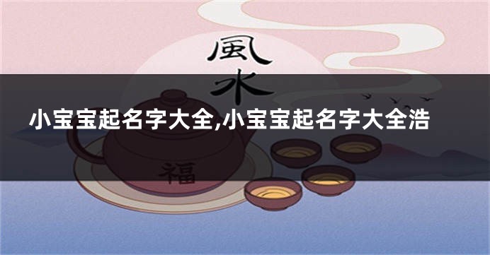 小宝宝起名字大全,小宝宝起名字大全浩