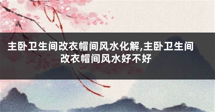 主卧卫生间改衣帽间风水化解,主卧卫生间改衣帽间风水好不好
