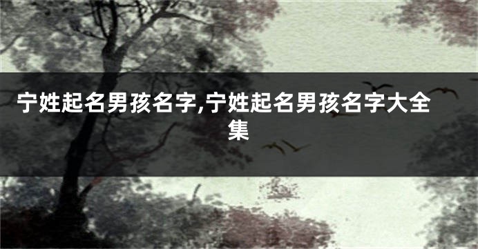 宁姓起名男孩名字,宁姓起名男孩名字大全集