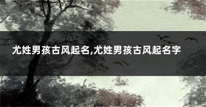 尤姓男孩古风起名,尤姓男孩古风起名字