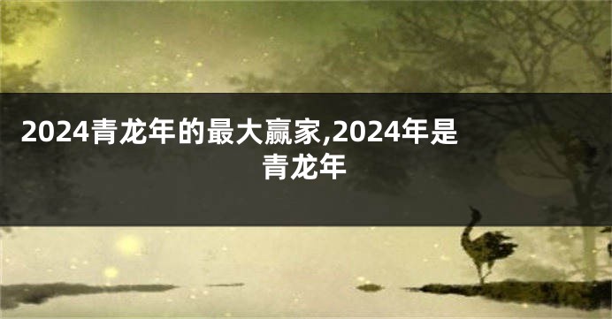 2024青龙年的最大赢家,2024年是青龙年