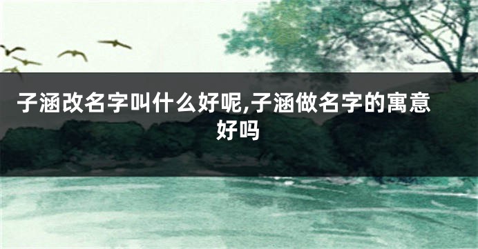 子涵改名字叫什么好呢,子涵做名字的寓意好吗