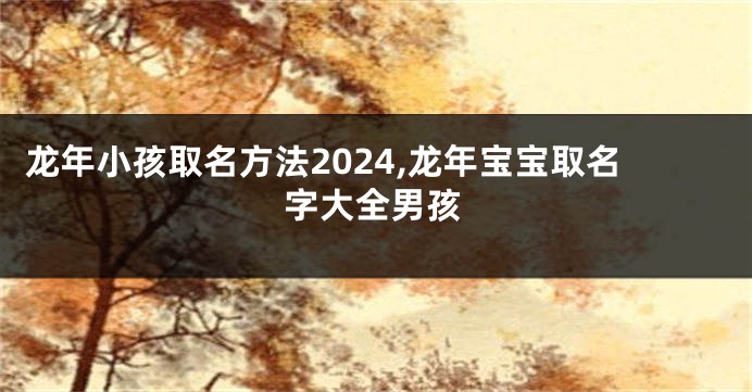 龙年小孩取名方法2024,龙年宝宝取名字大全男孩
