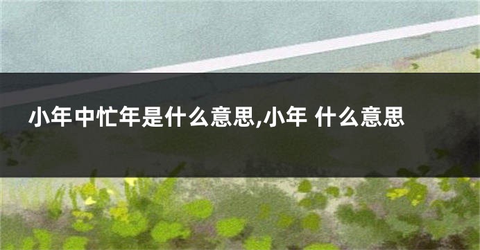 小年中忙年是什么意思,小年 什么意思