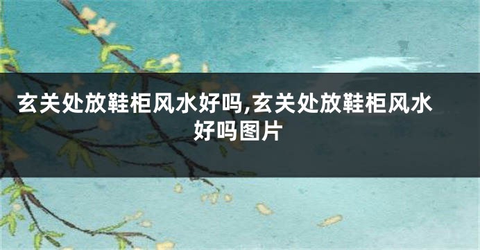玄关处放鞋柜风水好吗,玄关处放鞋柜风水好吗图片
