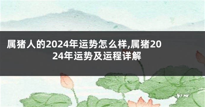 属猪人的2024年运势怎么样,属猪2024年运势及运程详解