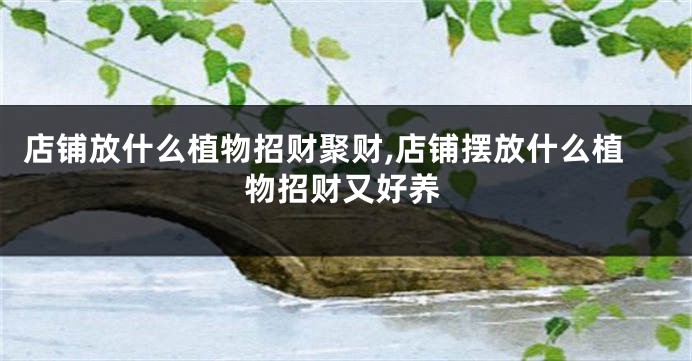 店铺放什么植物招财聚财,店铺摆放什么植物招财又好养