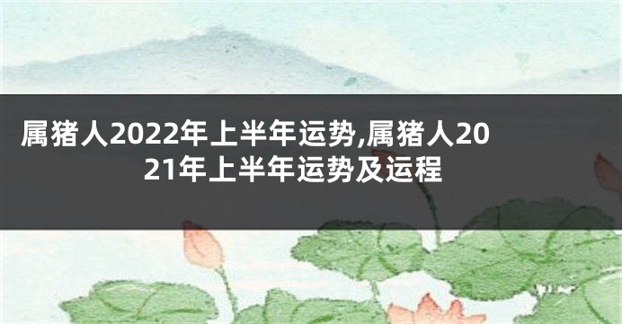 属猪人2022年上半年运势,属猪人2021年上半年运势及运程