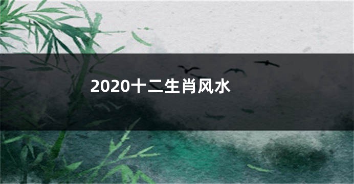 2020十二生肖风水