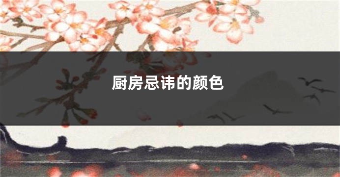 厨房忌讳的颜色