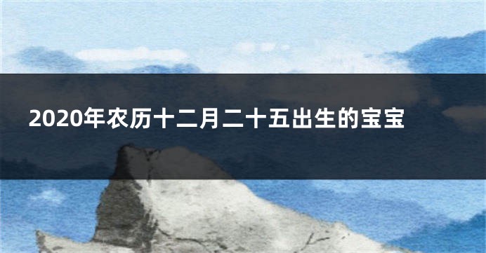 2020年农历十二月二十五出生的宝宝