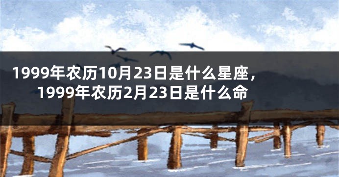 1999年农历10月23日是什么星座，1999年农历2月23日是什么命