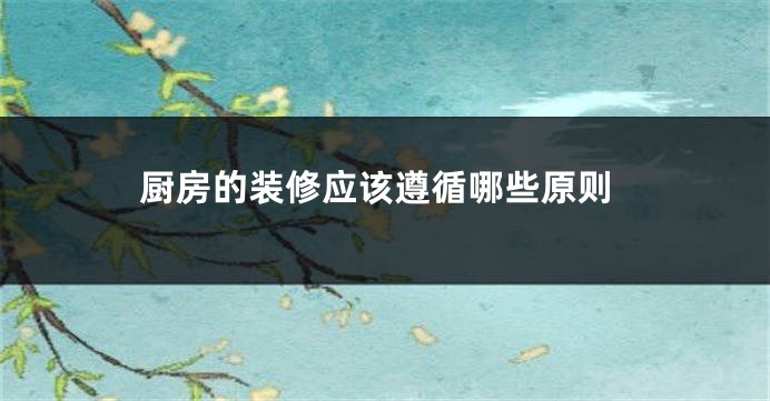 厨房的装修应该遵循哪些原则