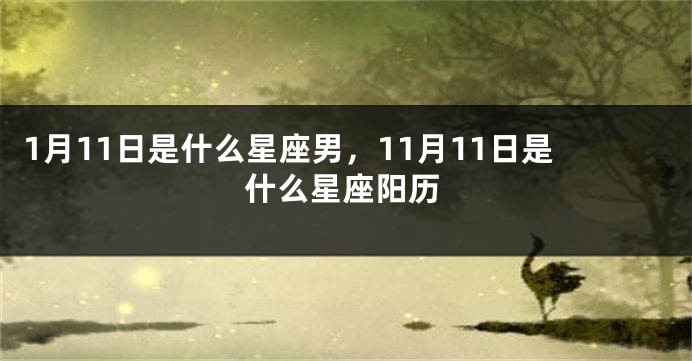 1月11日是什么星座男，11月11日是什么星座阳历