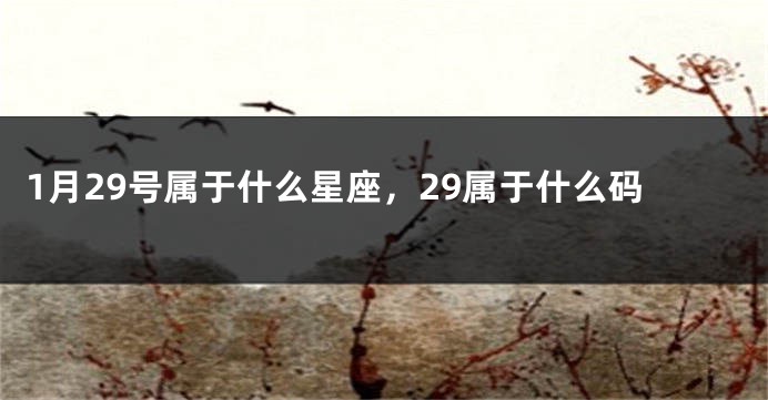 1月29号属于什么星座，29属于什么码