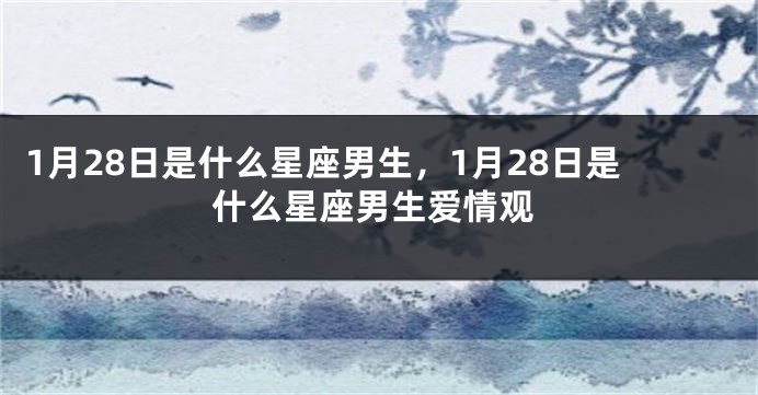 1月28日是什么星座男生，1月28日是什么星座男生爱情观