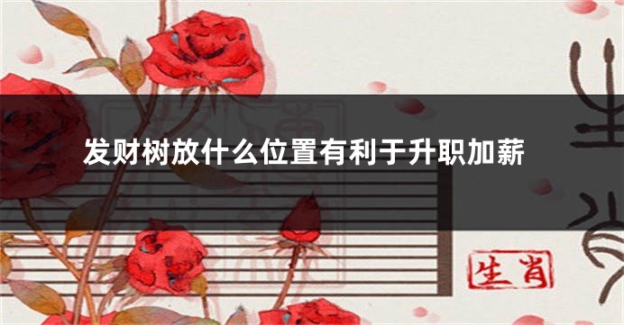 发财树放什么位置有利于升职加薪