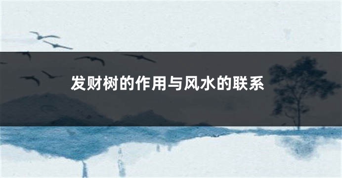 发财树的作用与风水的联系