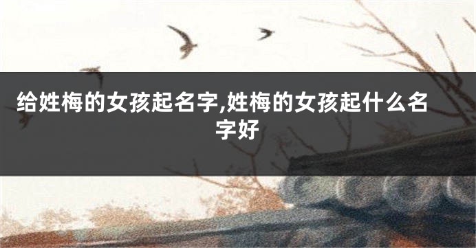 给姓梅的女孩起名字,姓梅的女孩起什么名字好