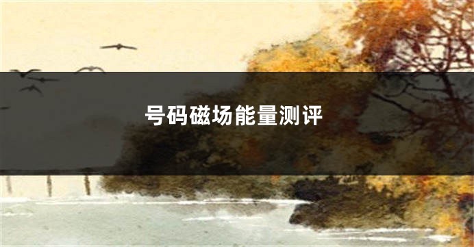 号码磁场能量测评