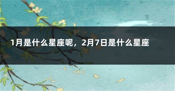 1月是什么星座呢，2月7日是什么星座