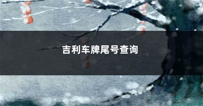 吉利车牌尾号查询