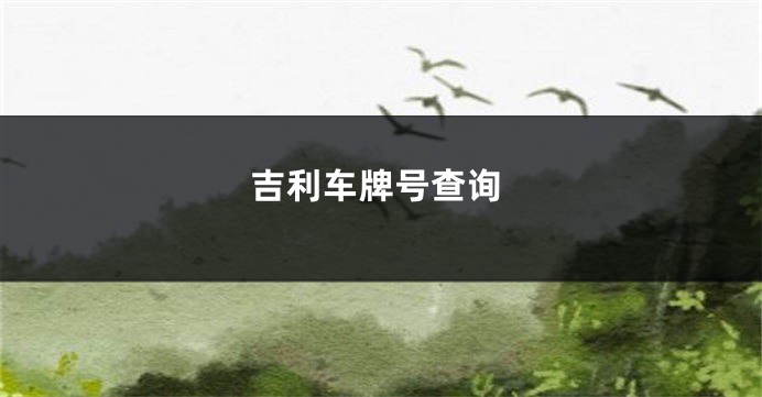 吉利车牌号查询