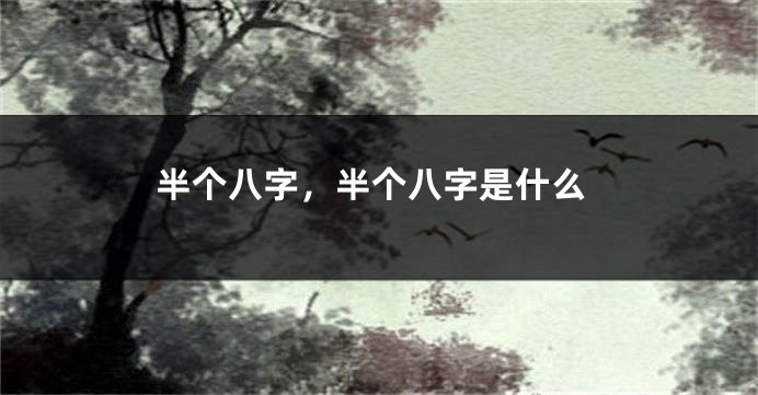 半个八字，半个八字是什么