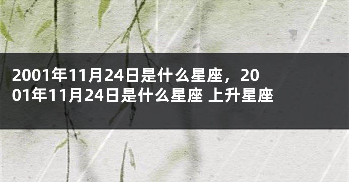 2001年11月24日是什么星座，2001年11月24日是什么星座 上升星座