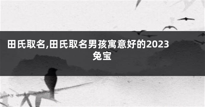 田氏取名,田氏取名男孩寓意好的2023兔宝