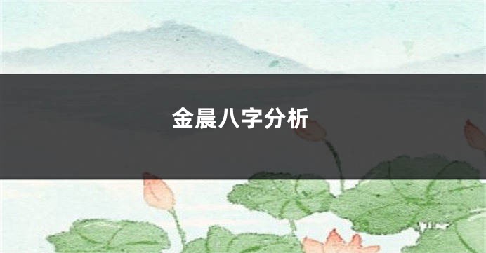 金晨八字分析