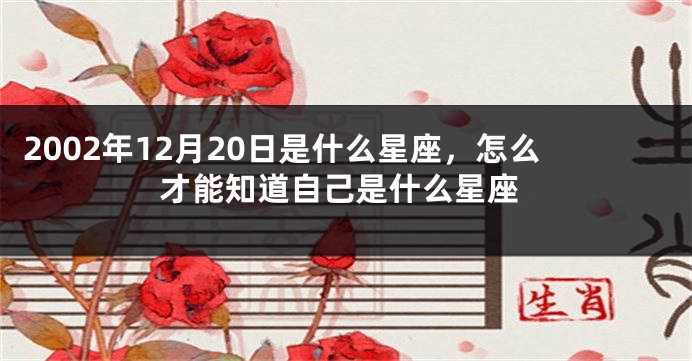 2002年12月20日是什么星座，怎么才能知道自己是什么星座