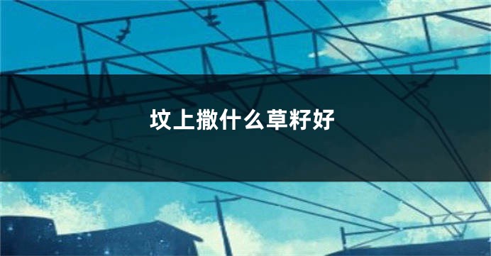 坟上撒什么草籽好