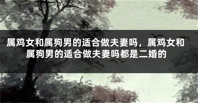 属鸡女和属狗男的适合做夫妻吗，属鸡女和属狗男的适合做夫妻吗都是二婚的