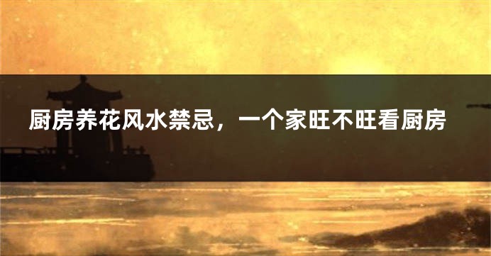 厨房养花风水禁忌，一个家旺不旺看厨房