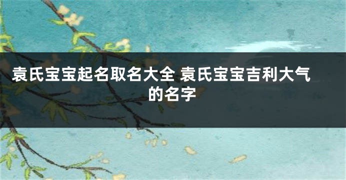 袁氏宝宝起名取名大全 袁氏宝宝吉利大气的名字