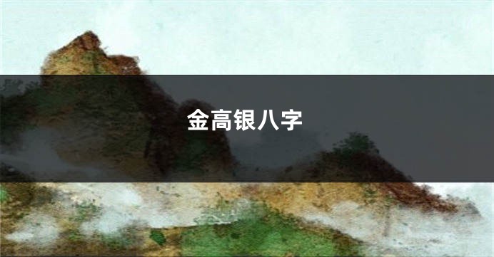 金高银八字