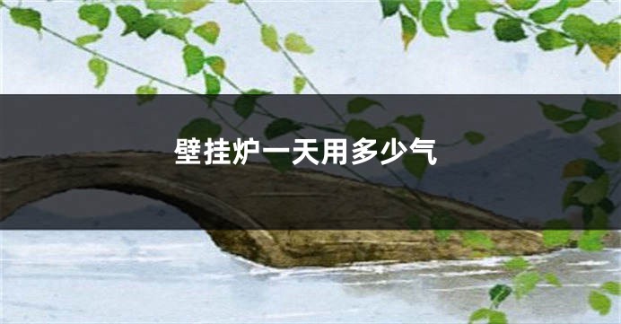 壁挂炉一天用多少气