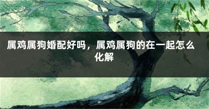 属鸡属狗婚配好吗，属鸡属狗的在一起怎么化解